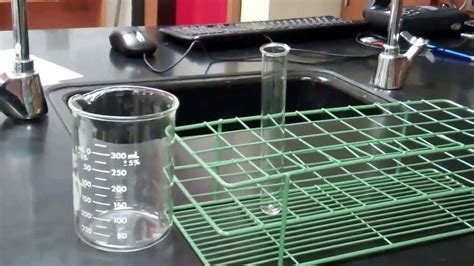 Cell Membrane Permeability Lab - YouTube