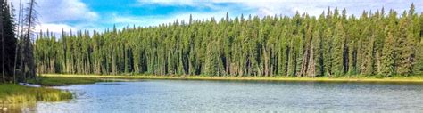 Goldeye Lake - Goldeye Lake Provincial Recreation Area | Alberta Parks