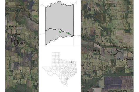 Drones over Texas reveal agricultural damage caused by wild pigs