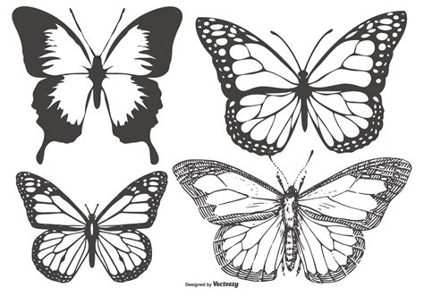 Hand Drawn Butterfly Vector Art, Icons, and Graphics for Free Download