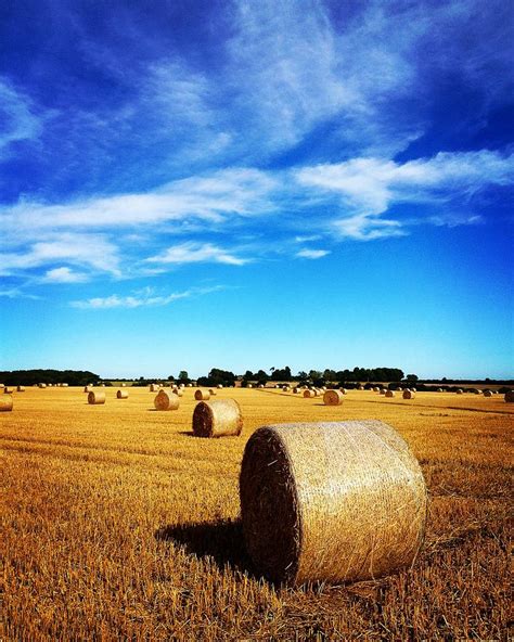 Straw bales at harvest time Photograph by Seeables Visual Arts - Fine ...