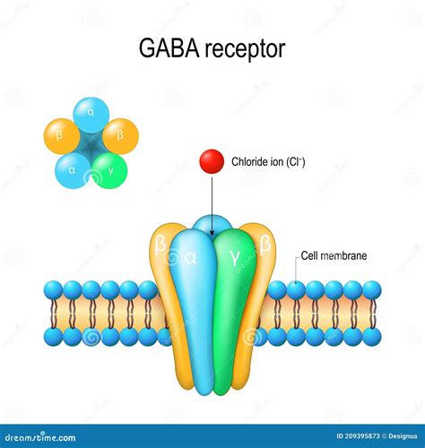 Gaba Molecule, Structural Chemical Formula, Ball-and-stick Model, Isolated Image Gamma ...