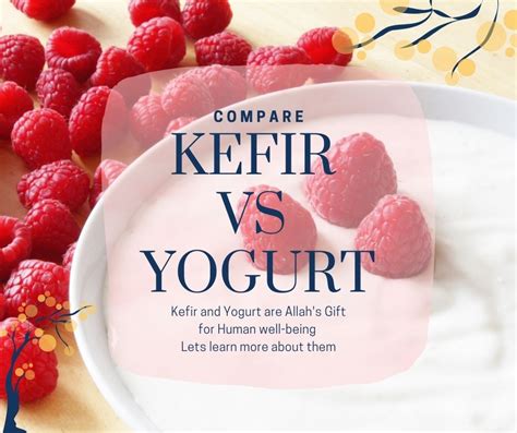 Difference Between Kefir and Yogurt | Kefir.pk