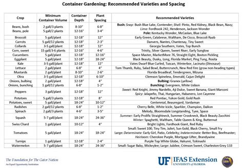 Container Size Matters When Growing Veggies | Gardening in the Panhandle