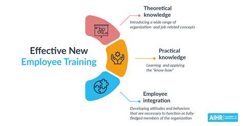 Training New Employees Effectively: All You Need to Know to Start - AIHR