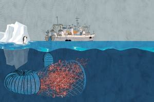 Protecting the Krill • Changing Markets