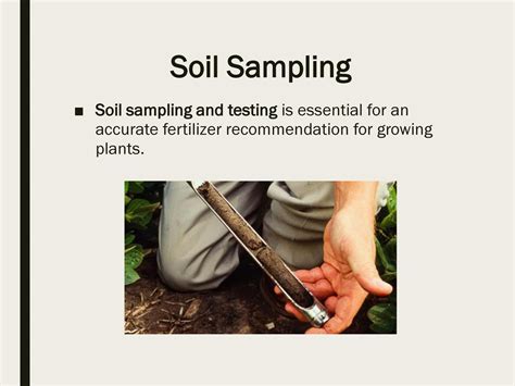 Soil Properties Essential Standard Explain the role of nutrients and ...