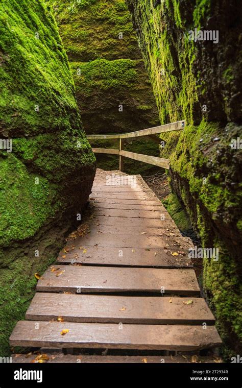 The Dragon Gorge, Hiking area in Eisenach, Thuringia, Germany Stock ...