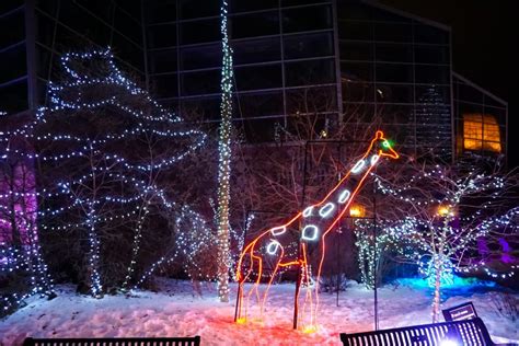 Zoolights in Calgary: 18 Best Displays and Tips for 2022/20223