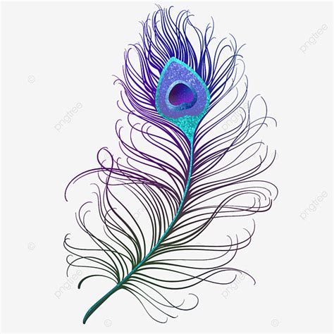 Peacock Feathers PNG Picture, Peacock Feather Ornament Pattern, Peacock Feather, Feather ...