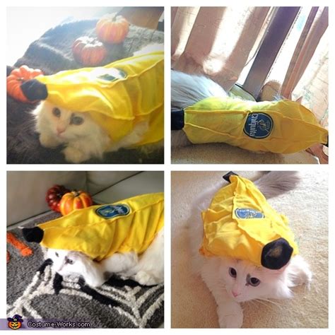 Chiquita Banana Cat Costume | Coolest Cosplay Costumes - Photo 2/2