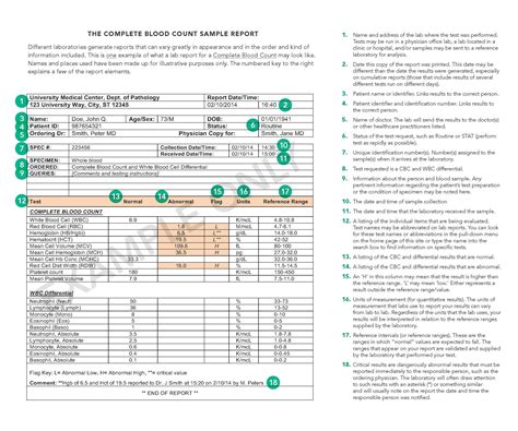 Dr Test Report Template – Atlanticcityaquarium.com