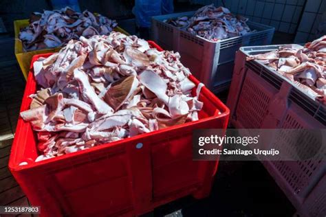 153 Slaughterhouse Waste Stock Photos, High-Res Pictures, and Images ...