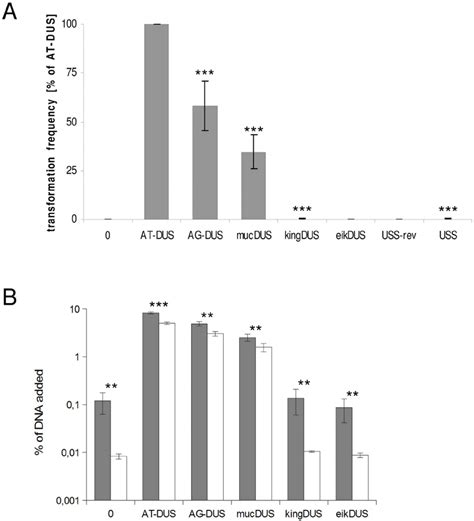 Quantitative transformation of N. meningitidis and binding and uptake ...