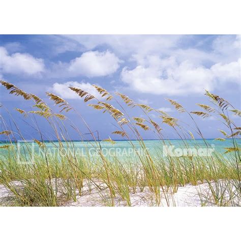 Ocean Breeze Wall Mural | Komar Wall Mural | Wall Murals Online