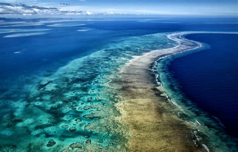 Saving our Pacific coral reefs, together. | Pacific Environment