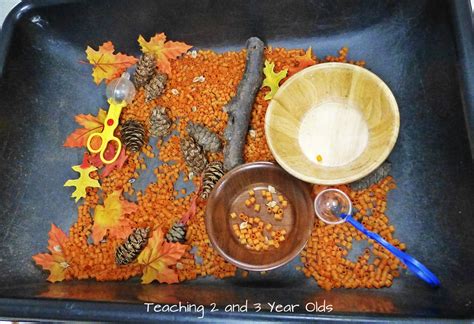 Teaching 2 and 3 Year Olds: A Collection of Sensory Table Ideas