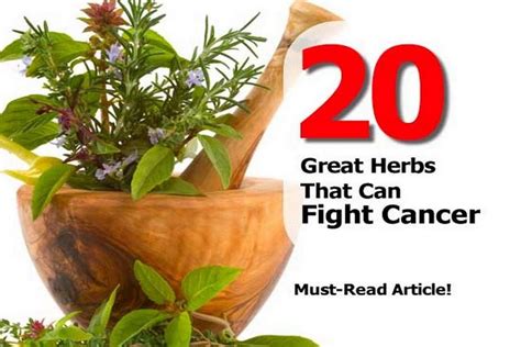 20 Great Herbs That Can Fight Cancer