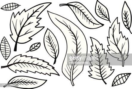 Doodle Fall Leaves Set Stock Clipart | Royalty-Free | FreeImages