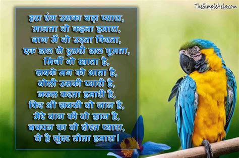 तोते पर कविता – Poem on Parrot in Hindi | Poems, Parrot, Fhe