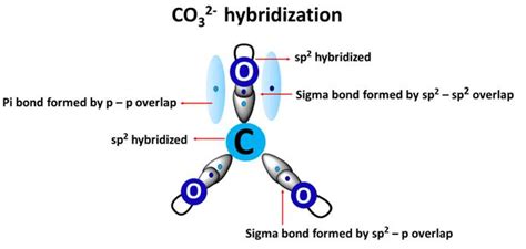 CO32- lewis structure, molecular geometry, and bond angle