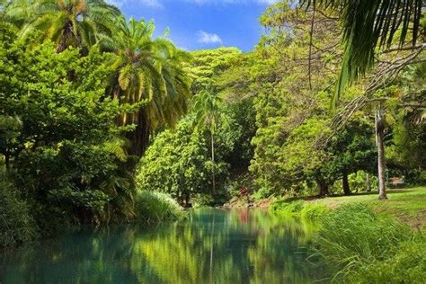 National Tropical Botanical Garden is one of the very best things to do ...