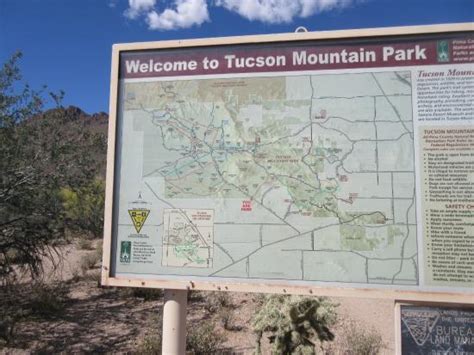 Dusk in the park - Picture of Tucson Mountain Park, Tucson - TripAdvisor