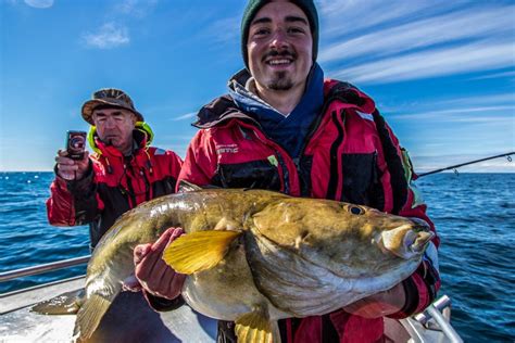 Hosted Fishing Å Norway | Halibut | Sportquest Holidays