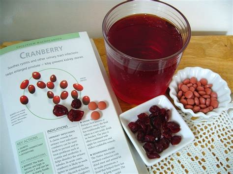 Urinary Tract Health Supplements: A Primer - ManipalBlog