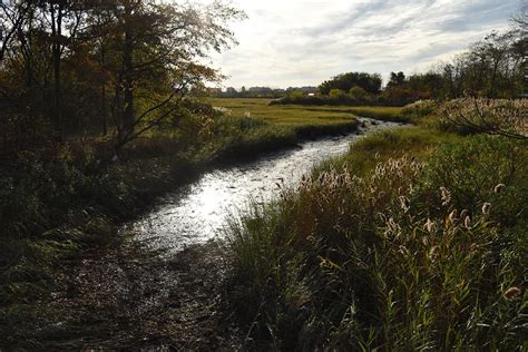 What will it take to bring Spring Creek back to life? - Curbed NY