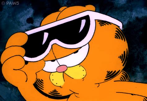 Garfield GIFs - Find & Share on GIPHY