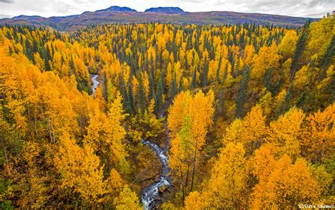 George Parks Highway Vista | along the George Parks Highway, Alaska | Steve Shames Photo Gallery