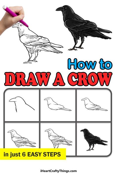 Crow Drawing - How To Draw A Crow Step By Step