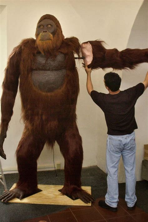 Gigantopithecus compared to a normal human : r/ape