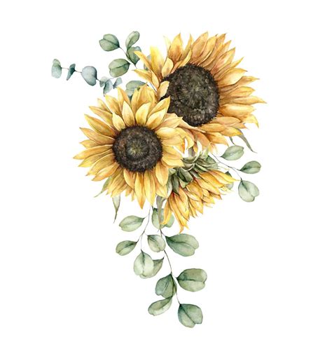 How To Draw A Sunflower Step By With Pencil Easy | Best Flower Site