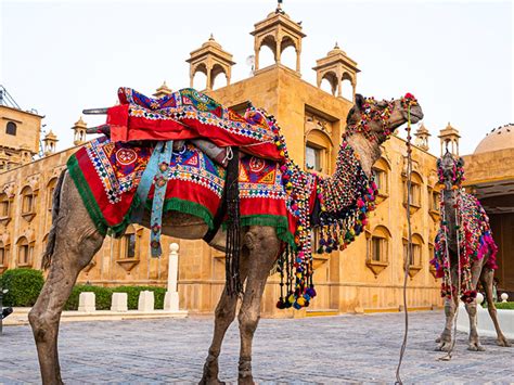 Culture of Rajasthan – Traditions, Festivals, Cuisine, Customs & More