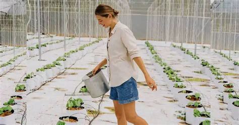 8 Steps to Master Hydroponic Nutrient Solution - How Hydroponics