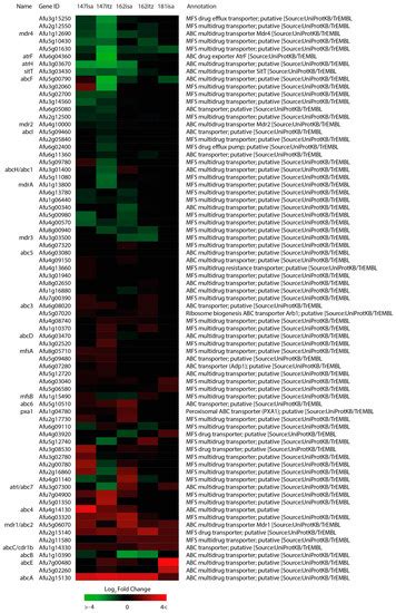 JoF | Special Issue : Multidrug-Resistant Fungi