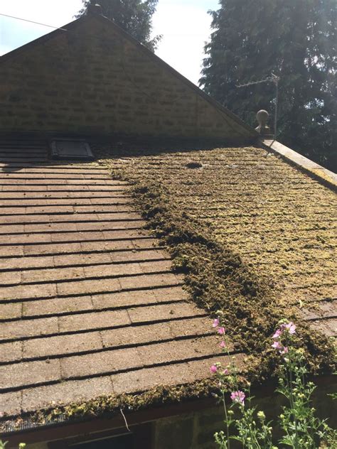 Roof Moss removal Bramhope