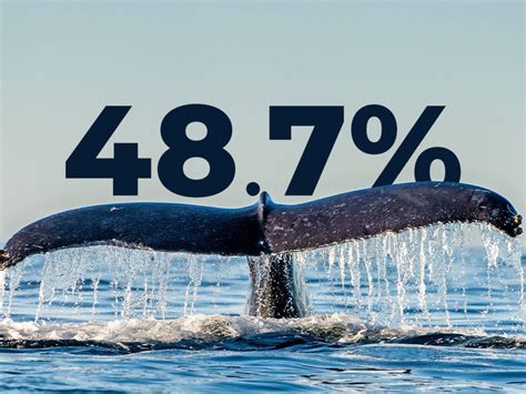 Whales Now Hold 48.7% of Total Bitcoin Supply After Buying 90,000 BTC Recently: Report