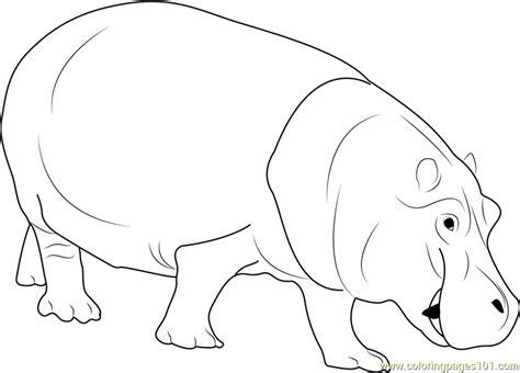 Hippopotamus Coloring Page for Kids - Free Hippopotamus Printable ...