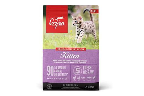 The 9 Best Kitten Foods for Your New Cat