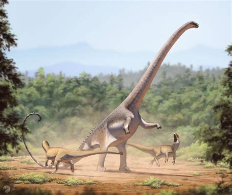 Barosaurus by FredtheDinosaurman on DeviantArt | Animais extintos, Dinossauros, Pré história