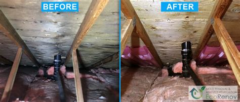 Attic Mold Removal, Longueuil | EcoRenov