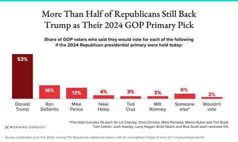 Republican Party 2024 Platform - Chicky Leticia