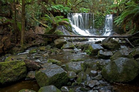 Tasmanian Wilderness - UNESCO World Heritage Site