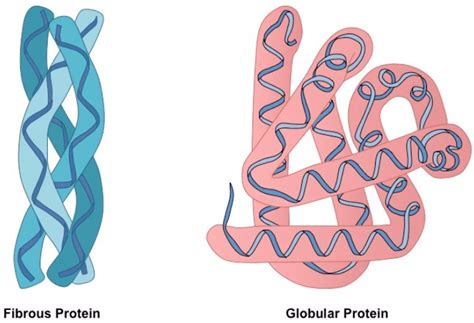 Chemistry Class 12 NCERT Solutions: Chapter 14 Biomolecules Part 4- FlexiPrep