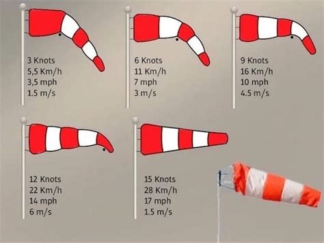 (1) Windsock Guide : coolguides | Wind sock, Infographic, How to create ...