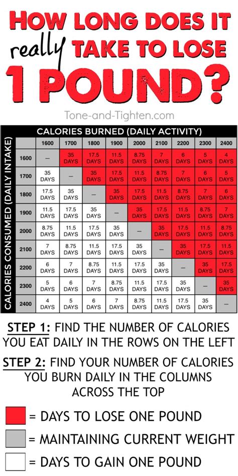 How Long Does It Take To Lose One Pound? | #site_title