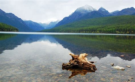 First impressions of Glacier National Park at Bowman Lake - Quirky ...